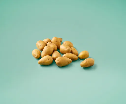 Vastkokende aardappelen groot 'Gwenne'