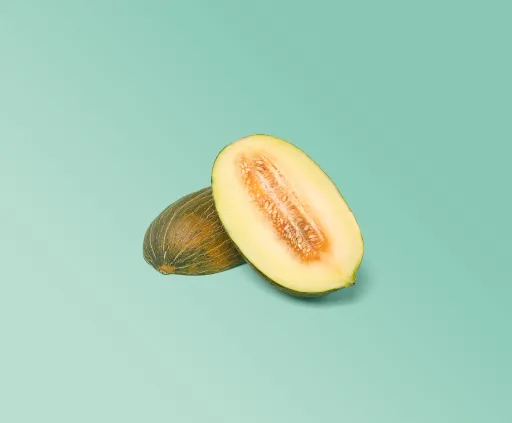 Piel de Sapo meloen