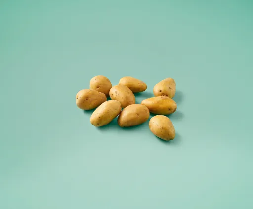 Vastkokende aardappelen 'Gwenne'
